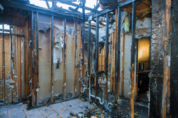 Professional Fire Damage Removal technician working in Montpelier, IN